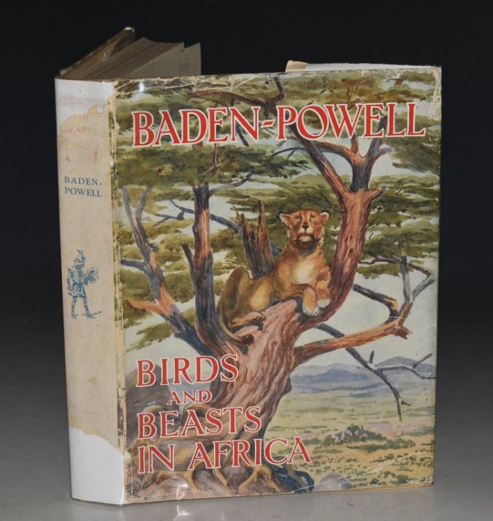 Birds and Beasts in Africa Depicted by the Chief Scout.