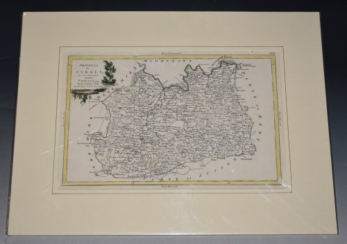 Attractive Antique county map: SURREY. Provincia di SURREY di nuova Projezione