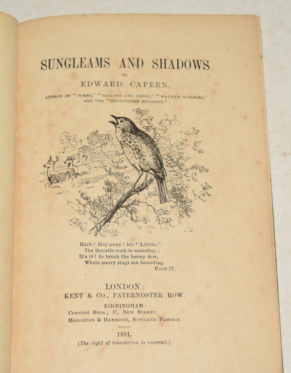 Sungleams and Shadows By the Author of “Poems,” “Ballads and Songs,” “Wayside Warbles,” and “The Devonshire Melodist.”