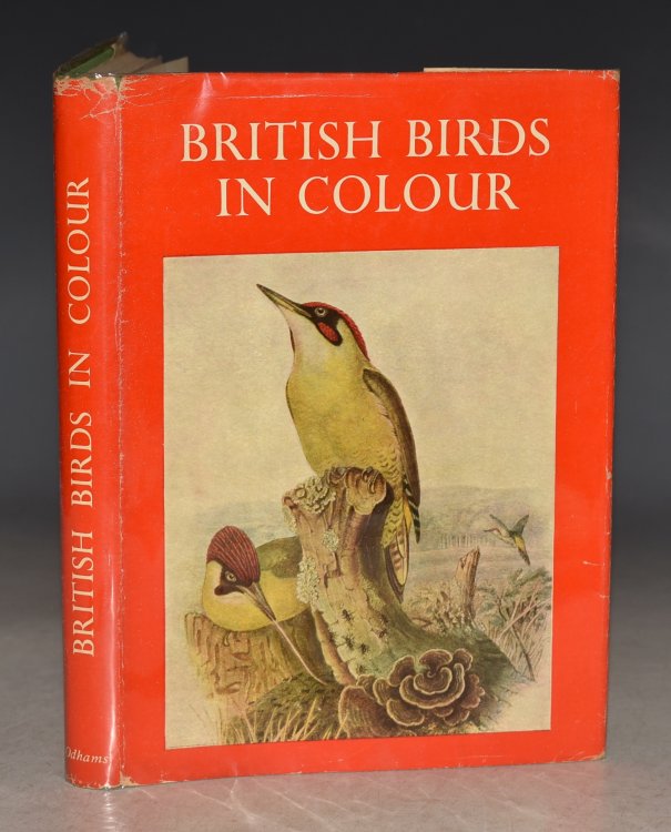 British Birds in Colour.
