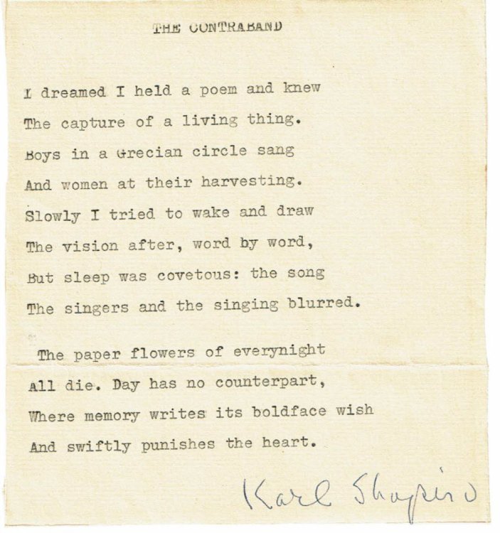 Image for TYPED POEM TYPED POEM