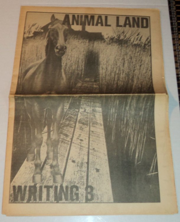 Image for WRITING 8: ANIMAL LAND. WRITING 8: ANIMAL LAND.