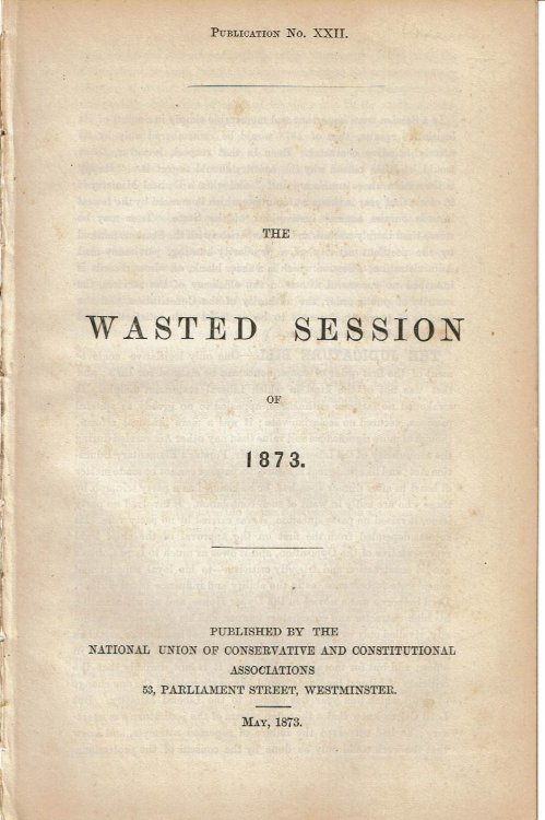 Image for THE WASTED SESSION OF 1873. THE WASTED SESSION OF 1873.