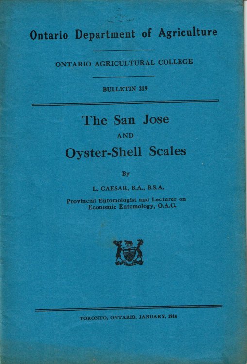 Image for THE SAN JOSE AND OYSTER-SHELL SCALES. (Cover title). THE SAN JOSE AND OYSTER-SHELL SCALES. (Cover title).