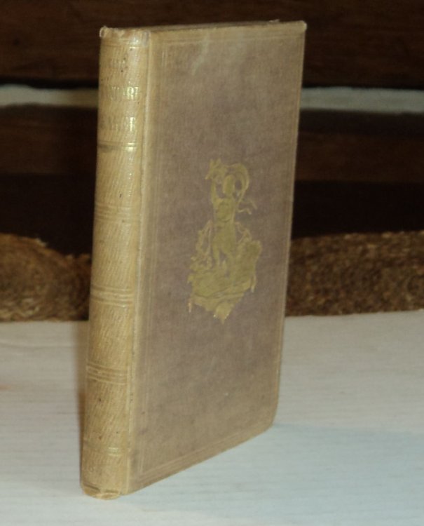Image for THE STANDARD-BEARER: An Illustrated Magazine for the Young. Vol. III. Nos. 1-12, 1854. THE STANDARD-BEARER: An Illustrated Magazine for the Young. Vol. III. Nos. 1-12, 1854.
