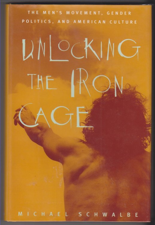 Image for Unlocking the Iron Cage The Men's Movement, Gender Politics, and American Culture Unlocking the Iron Cage The Men's Movement, Gender Politics, and American Culture