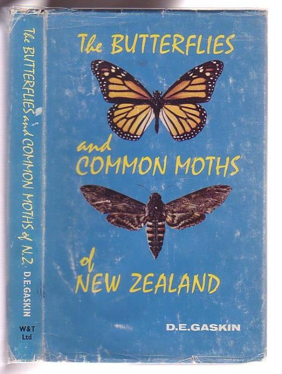 Image for The Butterflies and Common Moths of New Zealand The Butterflies and Common Moths of New Zealand