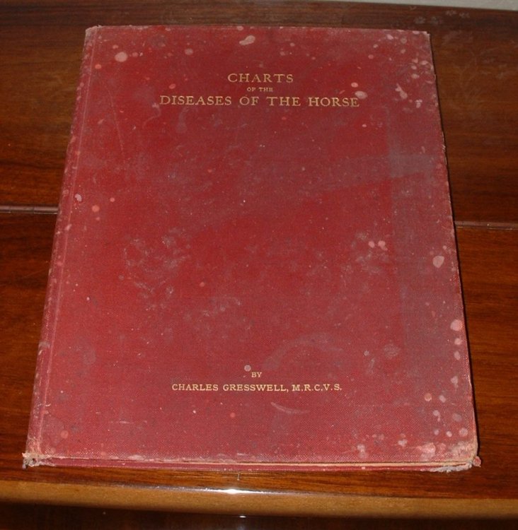 Image for Charts of the Diseases of the Horse with Explanatory Notes and Prescriptions Charts of the Diseases of the Horse with Explanatory Notes and Prescriptions