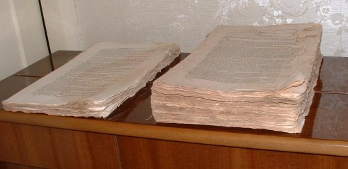 Image for Report from the Select Committee on New Zealand; together with the minutes of evidence, appendix and index. Report from the Select Committee on New Zealand; together with the minutes of evidence, appendix and index.