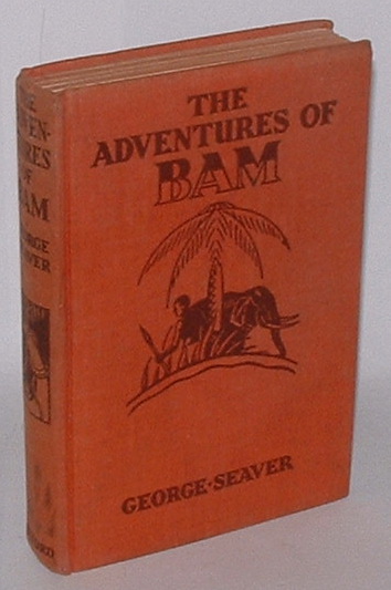 Image for The Adventures of Bam The Adventures of Bam