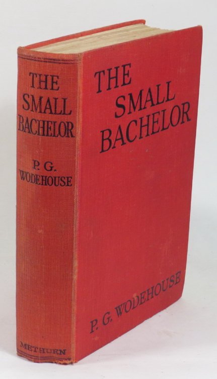 Image for The Small Bachelor The Small Bachelor