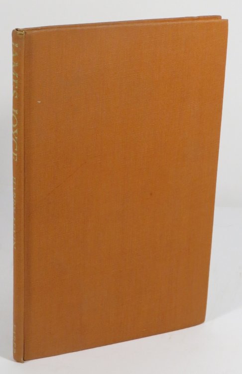 James Joyce : A Critical Introduction