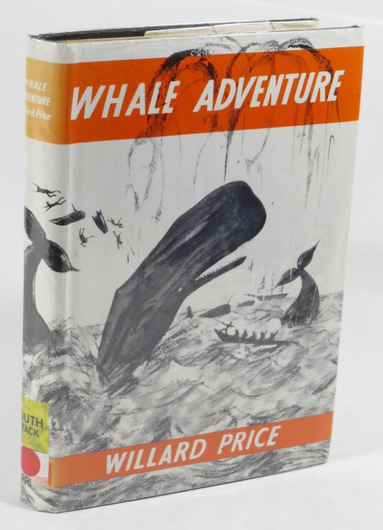 Whale Adventure