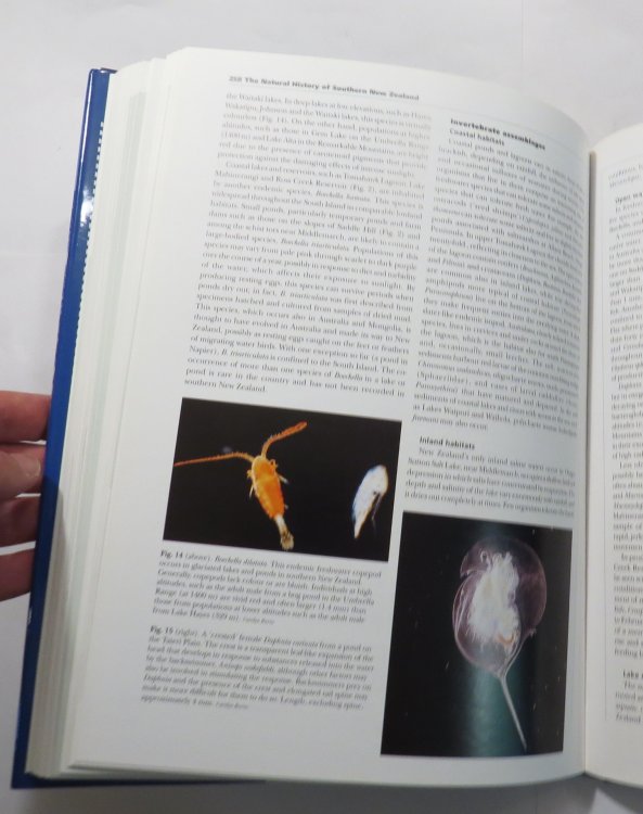 The Natural History of Southern New Zealand