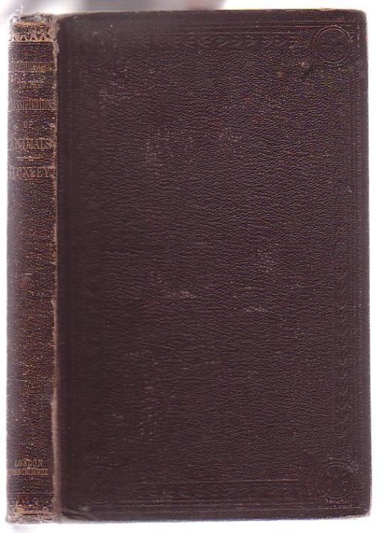 Image for An Introduction to the Classification of Animals An Introduction to the Classification of Animals