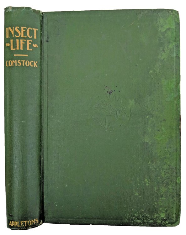 Image for Insect Life: An Introduction to Nature-Study and a Guide for Teachers, Students and Others Interested in Out-of-Door Life. Insect Life: An Introduction to Nature-Study and a Guide for Teachers, Students and Others Interested in Out-of-Door Life.
