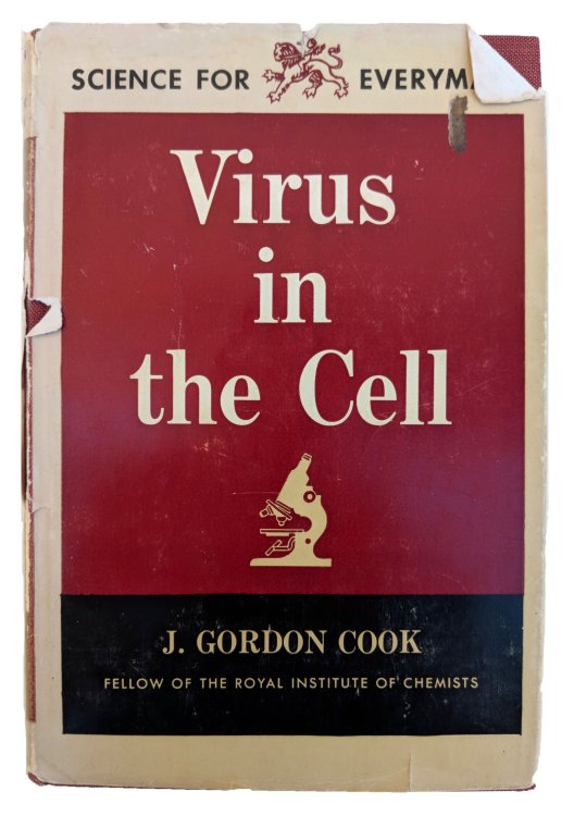 Image for Virus in the Cell. Virus in the Cell.