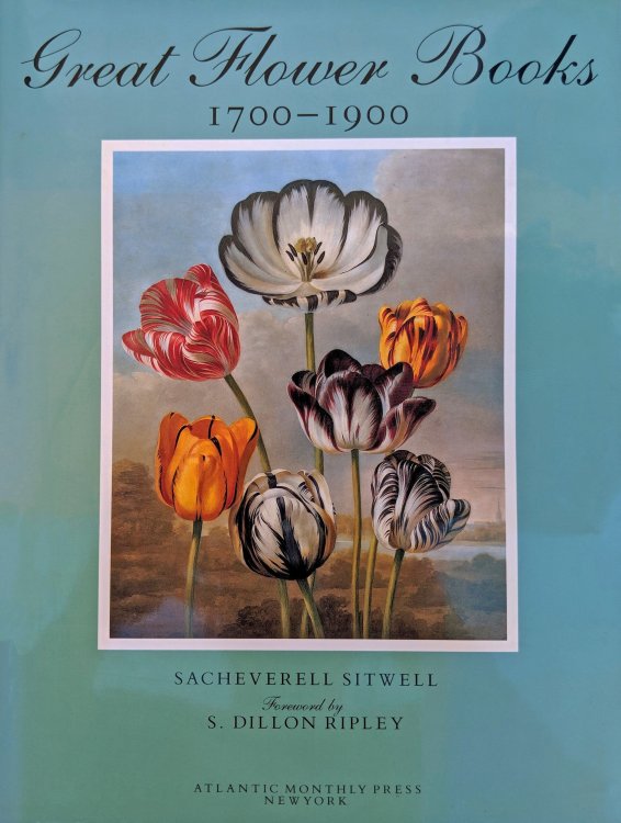 Image for Great Flower Books 1700-1900. A Bibliographical Record of Two Centuries of Finely-Illustrated Flower Books. Great Flower Books 1700-1900. A Bibliographical Record of Two Centuries of Finely-Illustrated Flower Books.