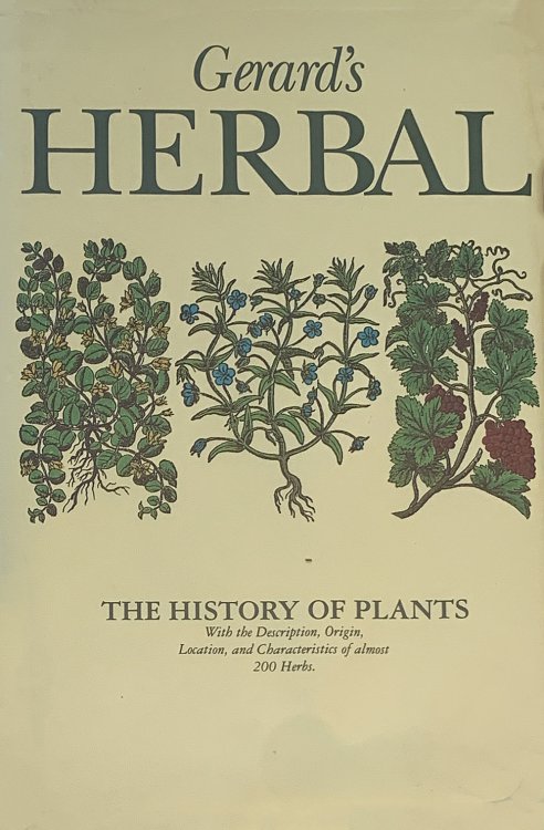 Image for Gerard's Herball. The essence thereof distilled by Marcus Woodward from the edition of Th, Johnson, 1636. Gerard's Herball. The essence thereof distilled by Marcus Woodward from the edition of Th, Johnson, 1636.