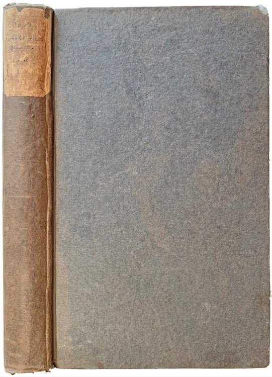 Image for Kritische Grammatik der Sanskrita-Sprache in kurzerer Fassung. Dritte, umgearbeitete und vermehrte Ausgabe. Kritische Grammatik der Sanskrita-Sprache in kurzerer Fassung. Dritte, umgearbeitete und vermehrte Ausgabe.