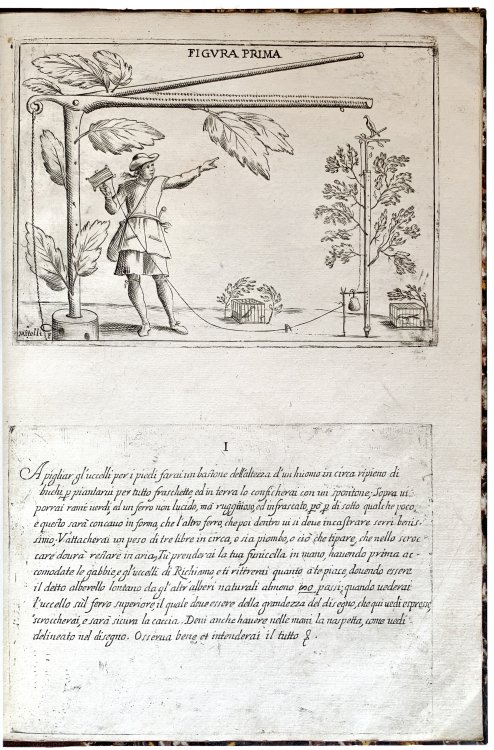 La caccia giocosa: invenzioni di Gioseffo Maria Mitelli, pittore bolognese, da lui effettivamente sperimentate e dedicate a chi si diletta di caccia.
