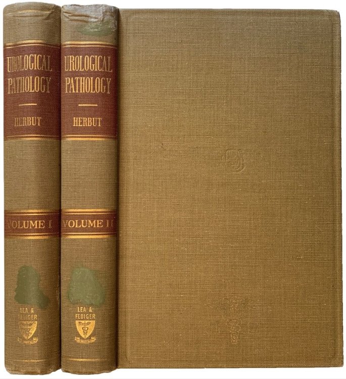 Image for Urological Pathology. Urological Pathology.