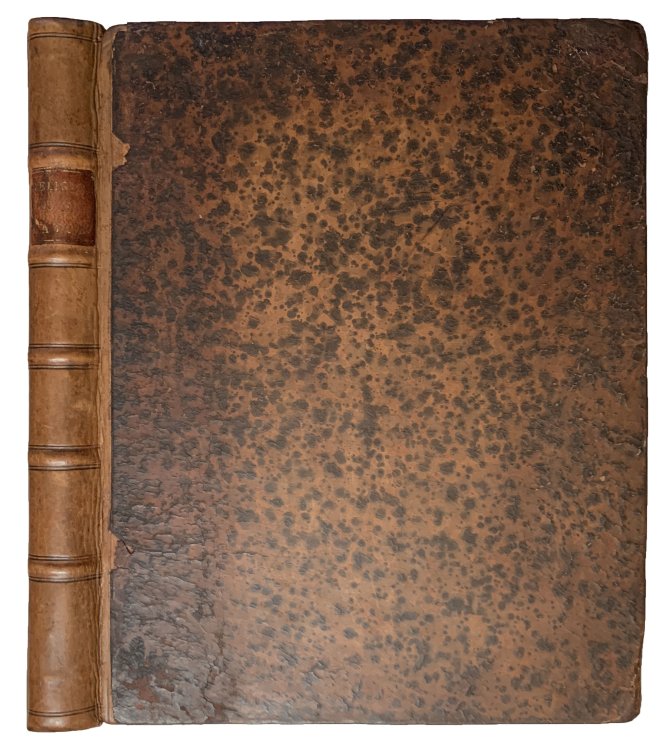 Image for The Religion of Nature delineated. . . . The sixth edition. The Religion of Nature delineated. . . . The sixth edition.