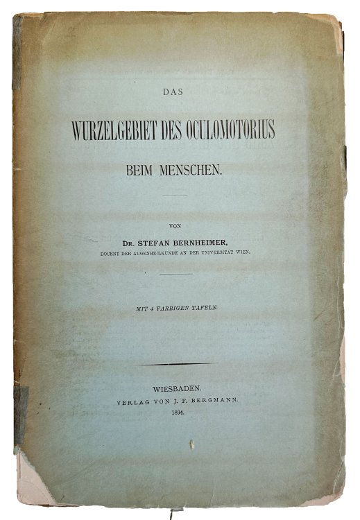 Image for Das Wurzelgebiet des Oculomotorius beim Menschen. Das Wurzelgebiet des Oculomotorius beim Menschen.