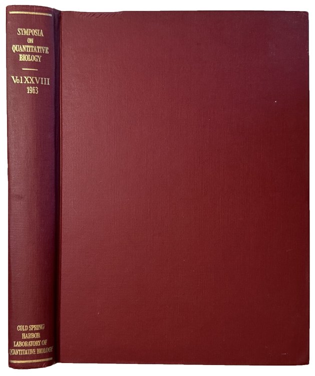Image for