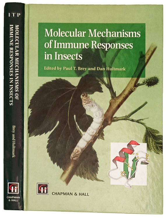 Image for Molecular Mechanisms of Immune Responses in Insects. Molecular Mechanisms of Immune Responses in Insects.