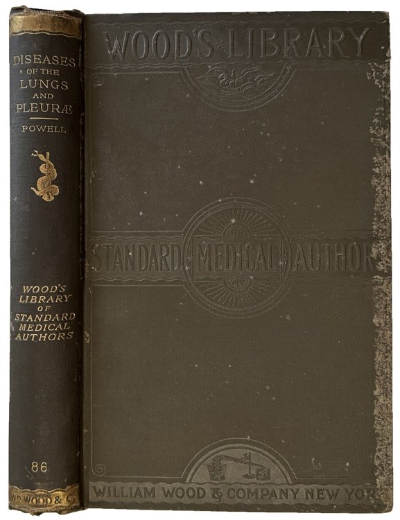 Image for On Diseases of the Lungs and Pleurae including consumption. Third edition, re-written and enlarged, with illustrations. On Diseases of the Lungs and Pleurae including consumption. Third edition, re-written and enlarged, with illustrations.