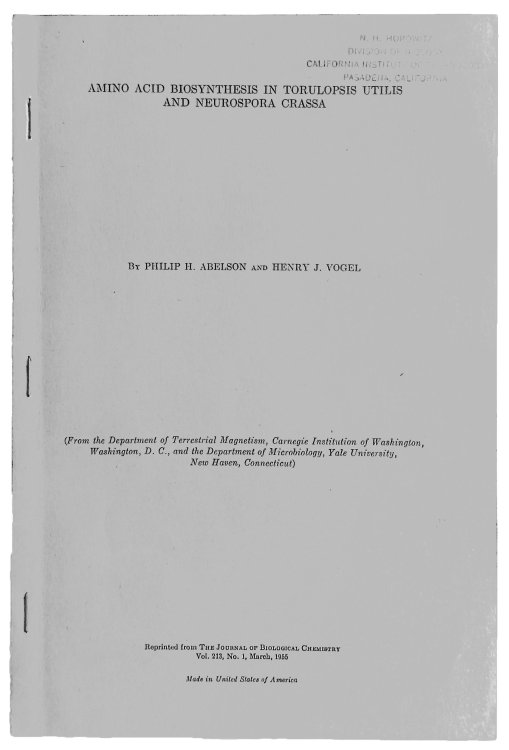 Image for