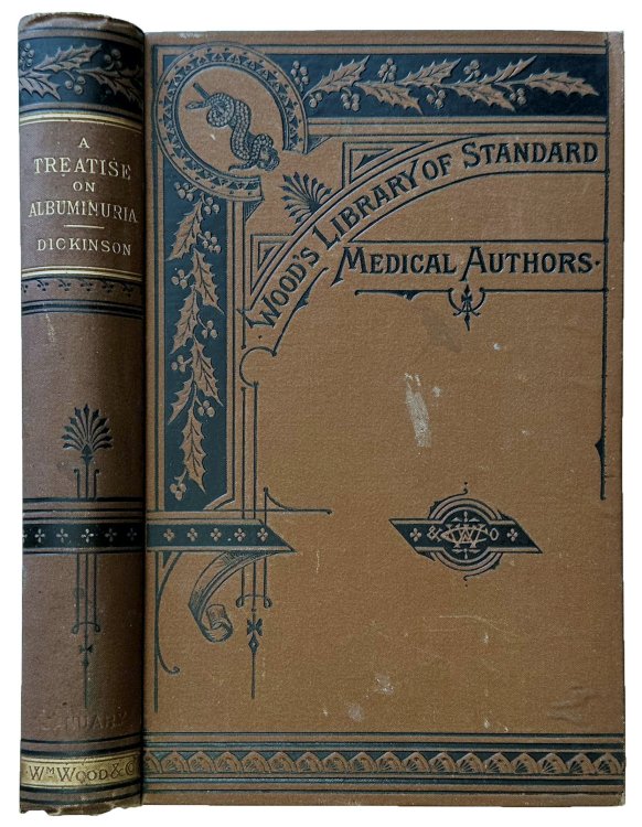 A treatise on albuminuria.
