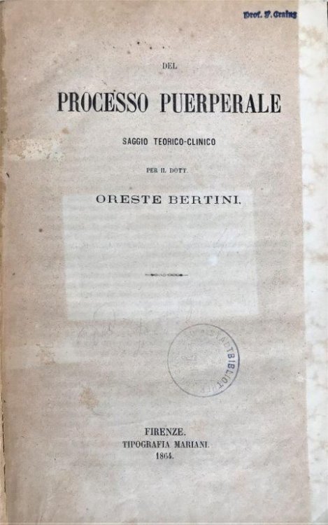 Image for Del processo puerperale. Saggio teorico-clinco. Del processo puerperale. Saggio teorico-clinco.