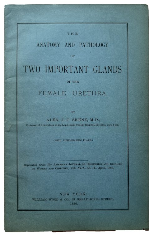 Image for The anatomy and pathology of two important glands of the female urethra. The anatomy and pathology of two important glands of the female urethra.