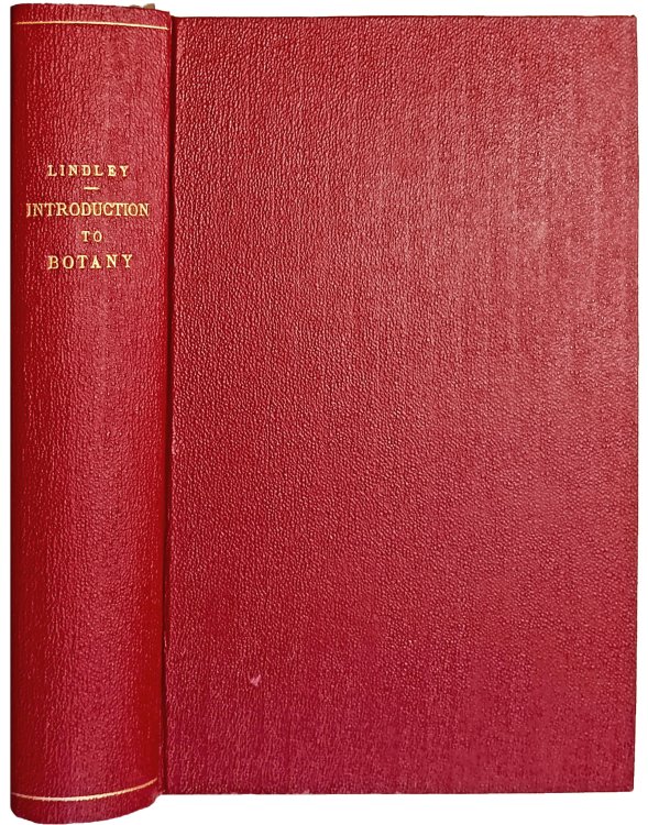 Image for An Introduction to Botany. An Introduction to Botany.