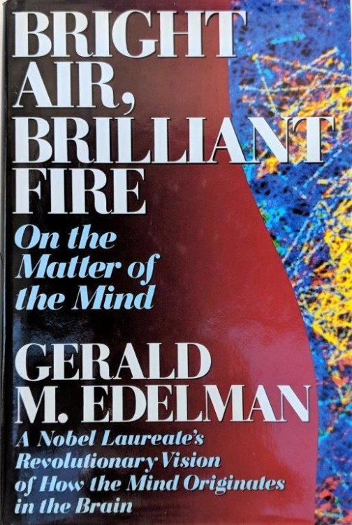 Image for Bright Air, Brilliant Fire, on the matter of the mind. Bright Air, Brilliant Fire, on the matter of the mind.