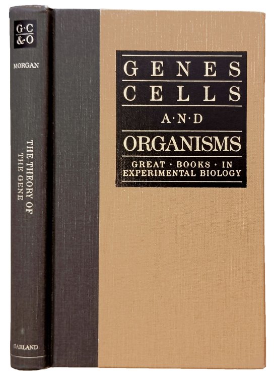 Image for The theory of the gene. The theory of the gene.