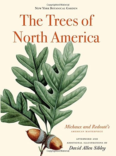 Image for The Trees of North America: Michaux and Redout's American Masterpiece (Michaux and Redoute's American Masterpiece) The Trees of North America: Michaux and Redout's American Masterpiece (Michaux and Redoute's American Masterpiece)