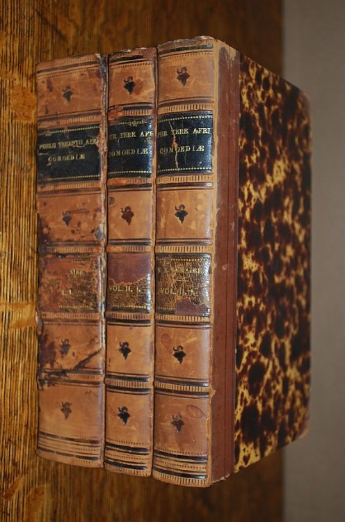 Image for Publii Terentii Afri Comoediae ex Optimrum Editionum (Bibliotheca Classica Latina sive Collectio Auctorum Classicorum Latinorum cum Notis et Indicibus) 3 Volumes Publii Terentii Afri Comoediae ex Optimrum Editionum (Bibliotheca Classica Latina sive Collectio Auctorum Classicorum Latinorum cum Notis et Indicibus) 3 Volumes