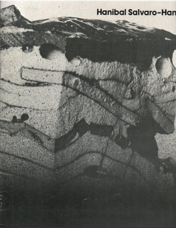 Iz Temelja Je Izmijenio Sve Nase Dojucerasnje Predodzbe O Keramici * FUNDAMENTALLY CHANGED all of OUR PRECONCEIVED NOTIONS about CERAMICS; HANIBAL SALVARO-HANI - THERMAL FORMATIONS