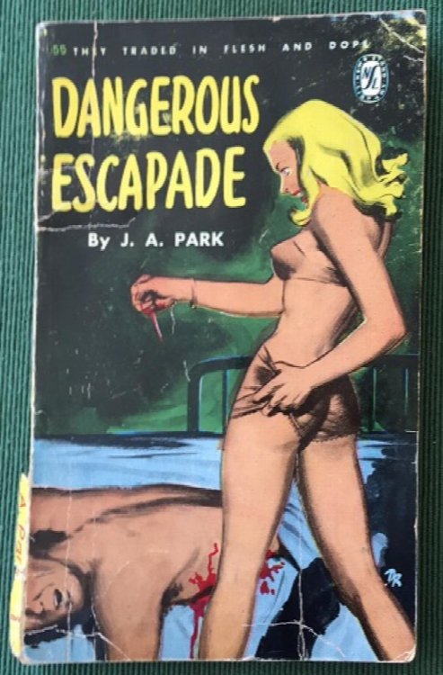 Image for Dangerous Escapade Dangerous Escapade