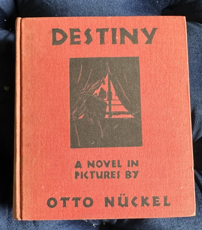 Image for Destiny / A Novel in Pictures Destiny / A Novel in Pictures