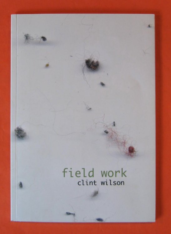 Image for Field Work: Projects for Artist Run Culture Field Work: Projects for Artist Run Culture