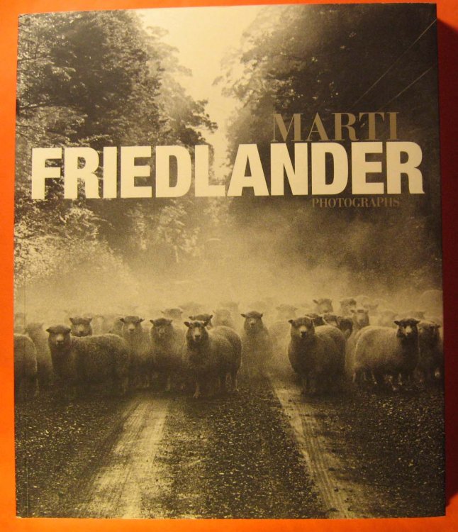 Marti Friedlander