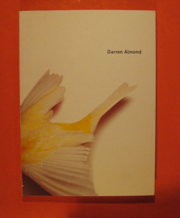 Image for Darren Almond Darren Almond