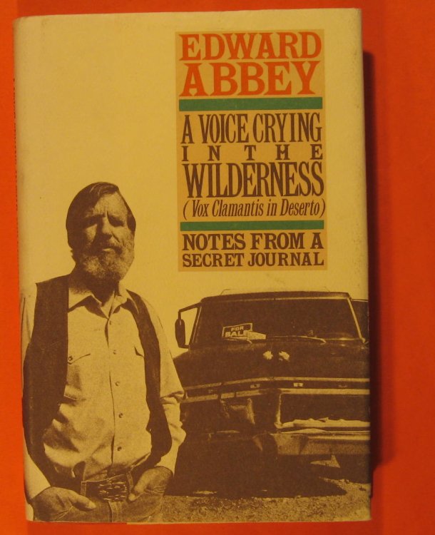 A Voice Crying in the Wilderness (Vox Clamantis in Deserto): Notes from a Secret Journal