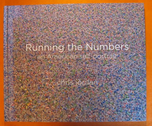 Image for Running the Numbers: An American Self-Portrait Running the Numbers: An American Self-Portrait
