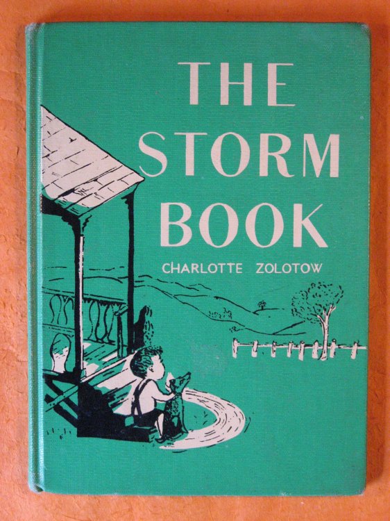 Image for The Storm Book The Storm Book