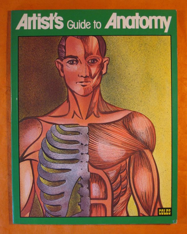 Image for Artist's Guide to Anatomy Artist's Guide to Anatomy